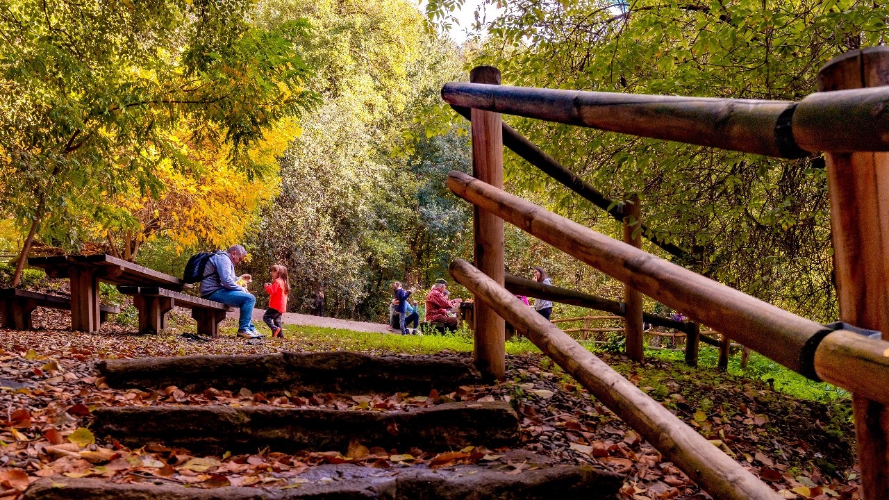 Merendero de la garganta De Marta in autumn