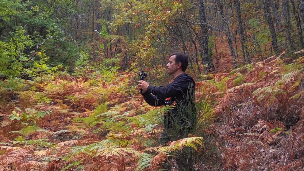 Persona fotografiando la naturaleza en el bosque de la ruta