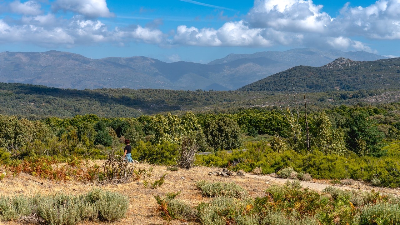 Paisaje con el fondo de Peña Negra