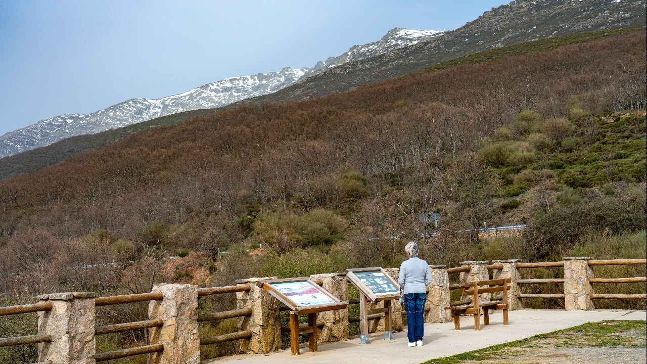 Person consulting the information panels at the lookout point.