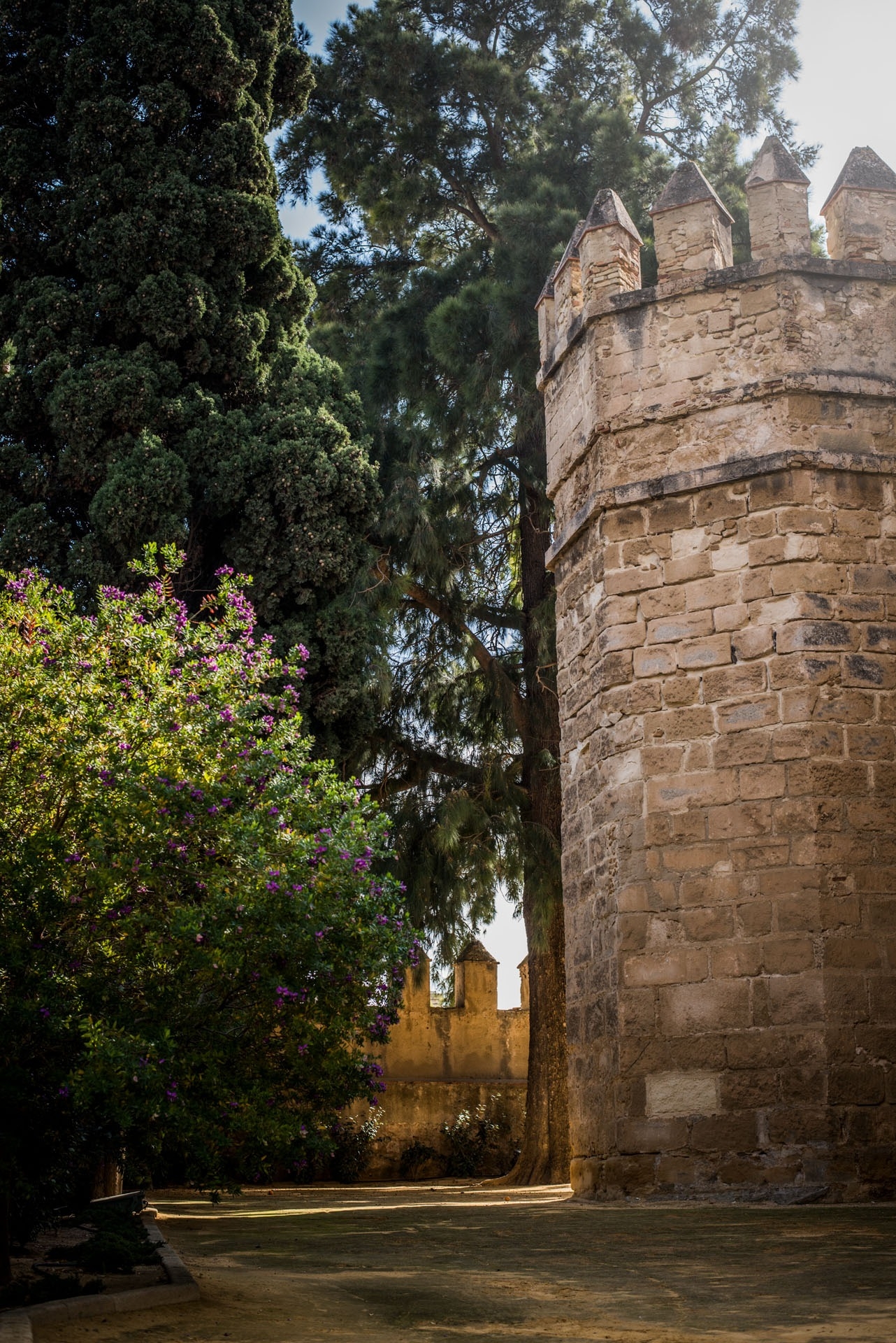 Imagen de Visita al castillo y la bodega, con cata en español