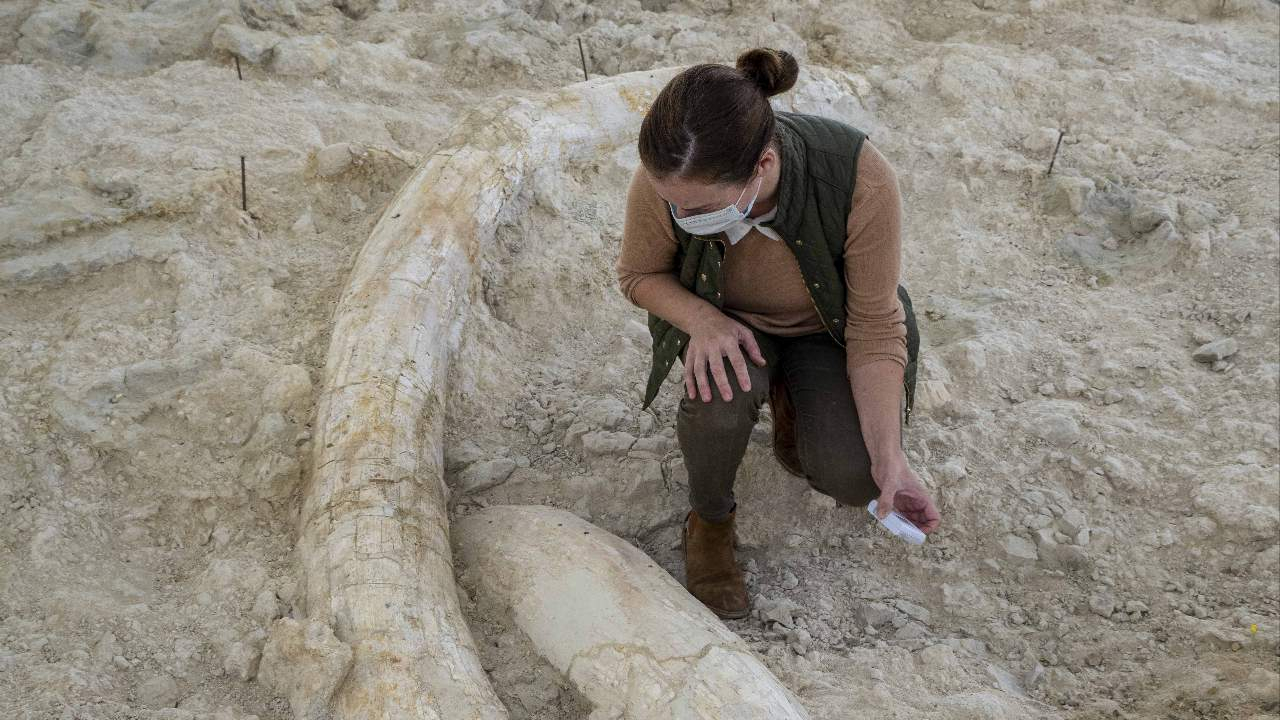 Excavación arqueologica