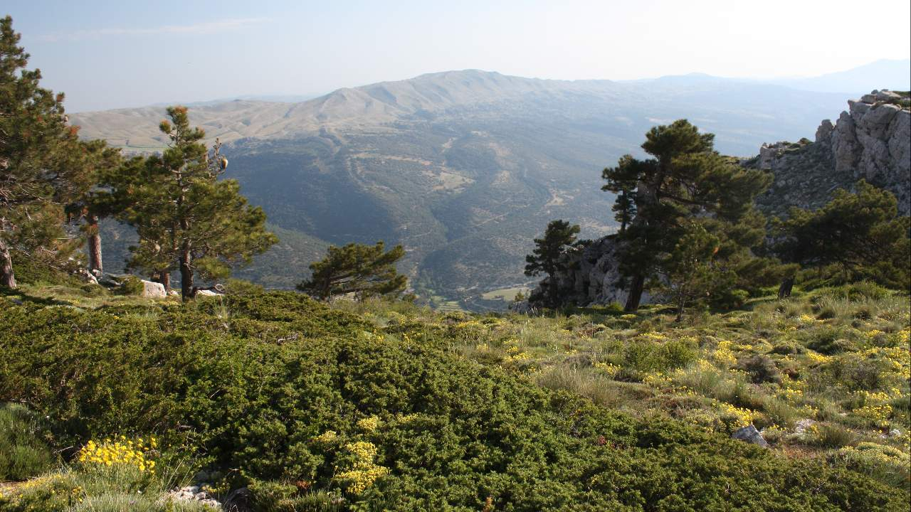 Vista panorámica de montaña y horizonte