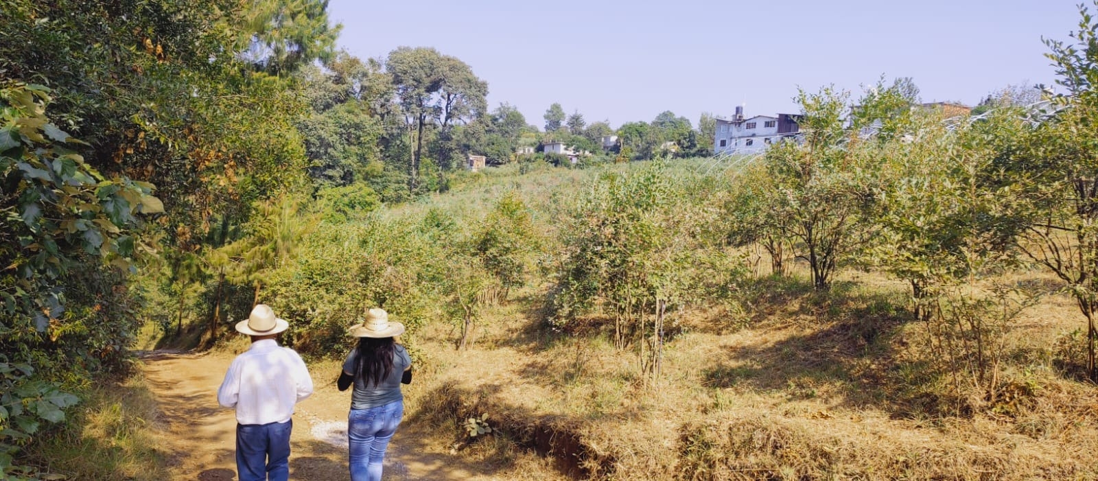 Imagen de Blue-Ruta- Visita a las Huertas de BlueBerry