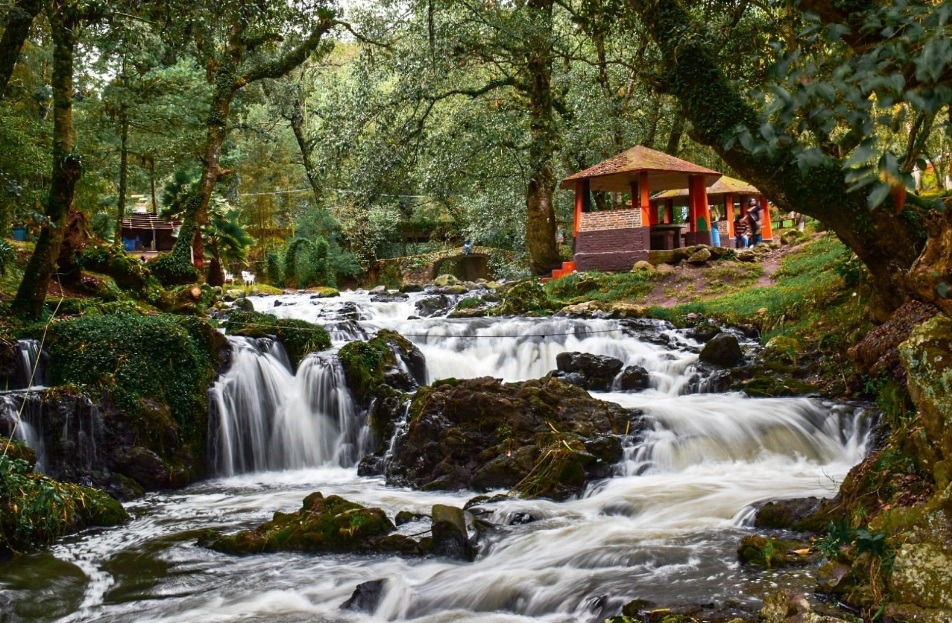 Imagen de Sendero del Agua: Cascada de Quetzalapa + Cascada de Tuliman