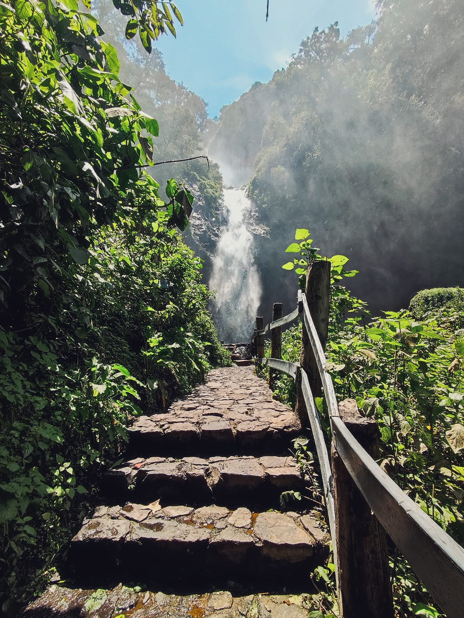 Imagen de Sendero del Agua: Cascada de Quetzalapa + Cascada de Tuliman