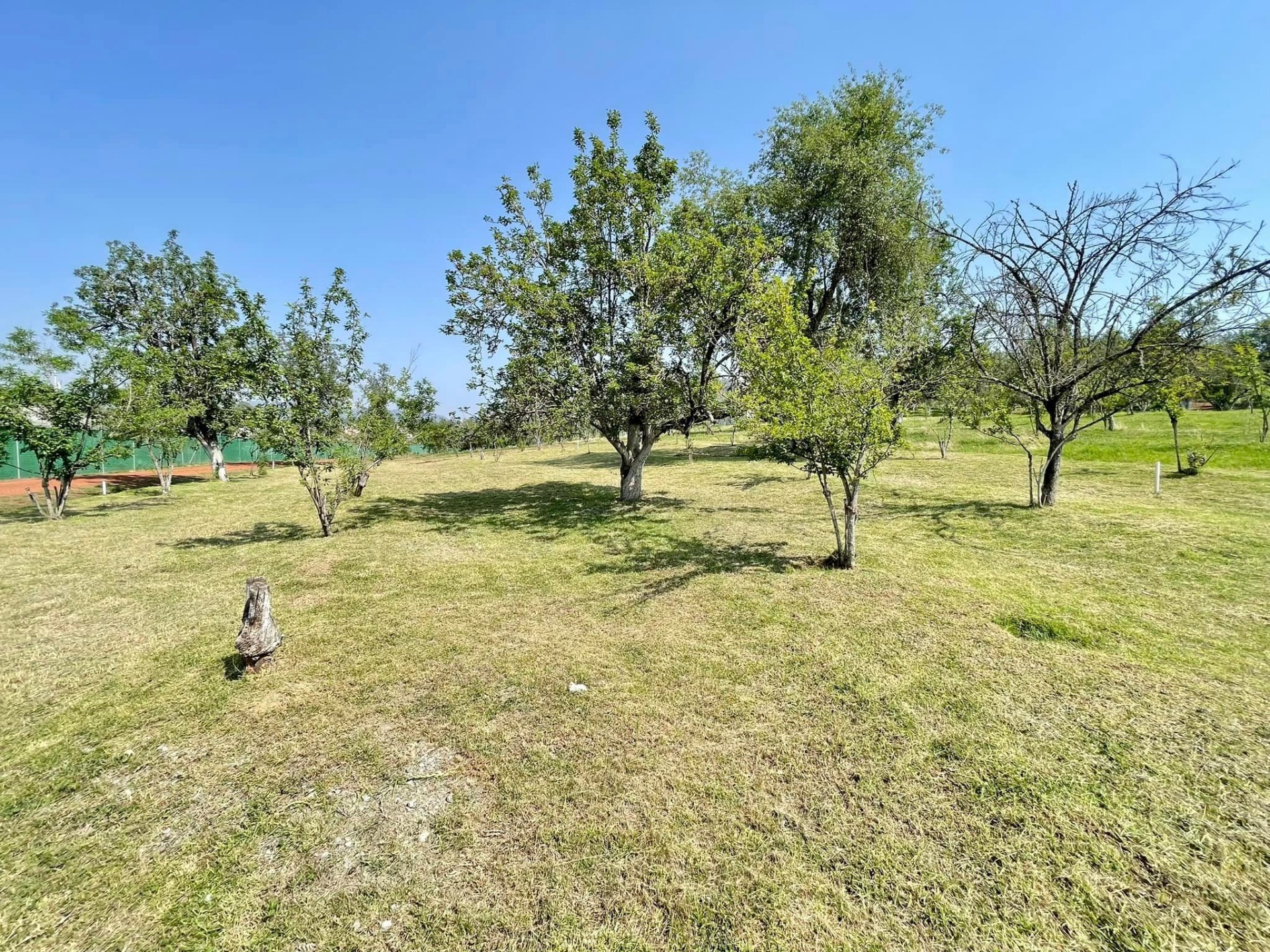 Imagen de Ruta de la Manzana- Visita a las Huertas de Manzana en Zacatlán