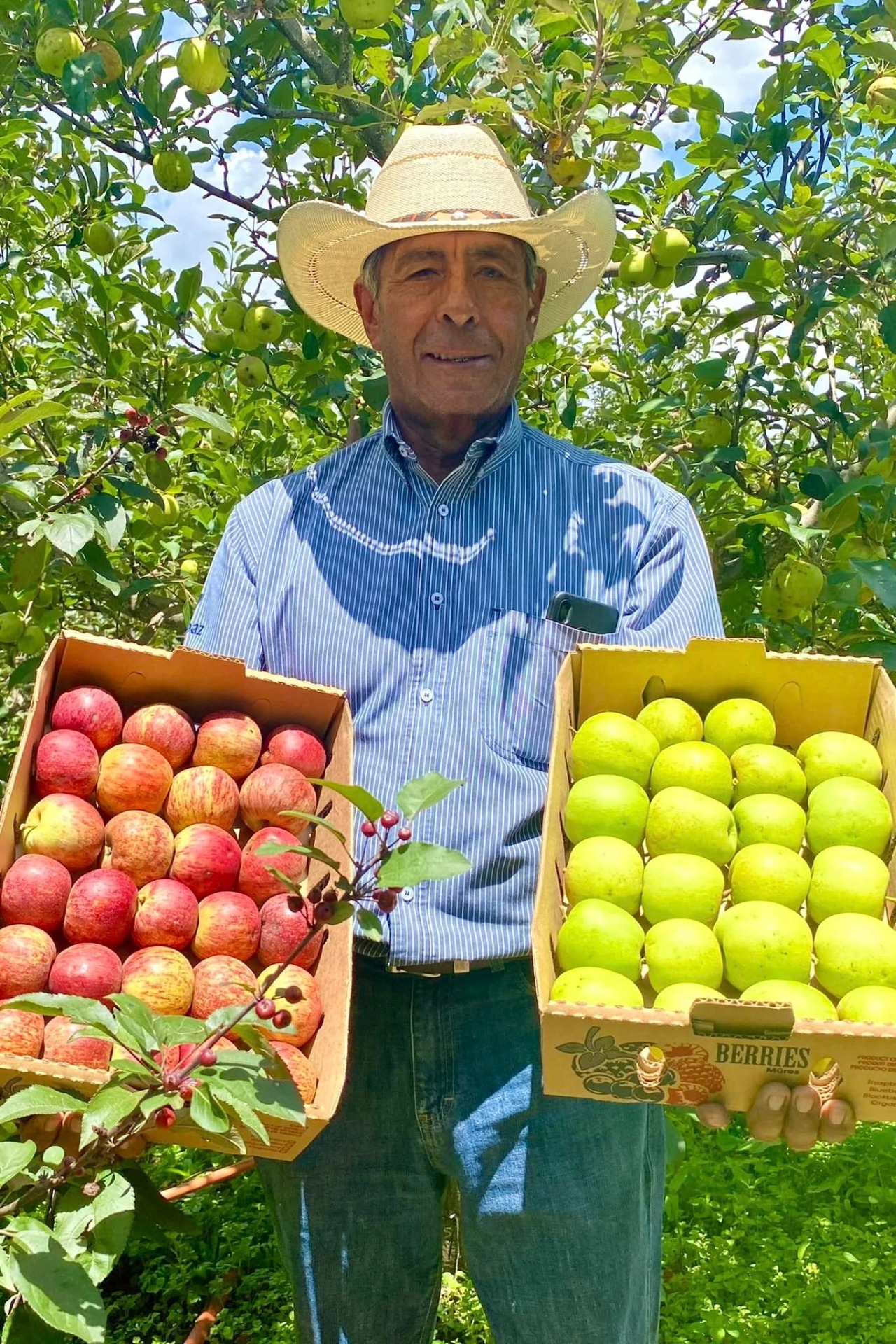 Imagen de Ruta de la Manzana- Visita a las Huertas de Manzana en Zacatlán