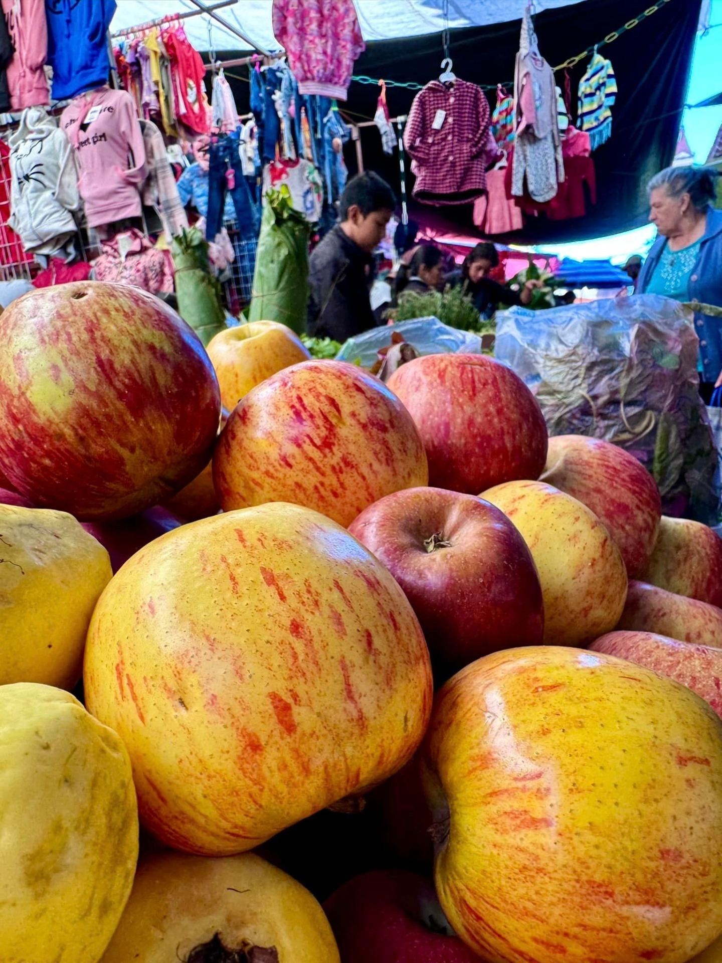 Imagen de Ruta de la Manzana- Visita a las Huertas de Manzana en Zacatlán