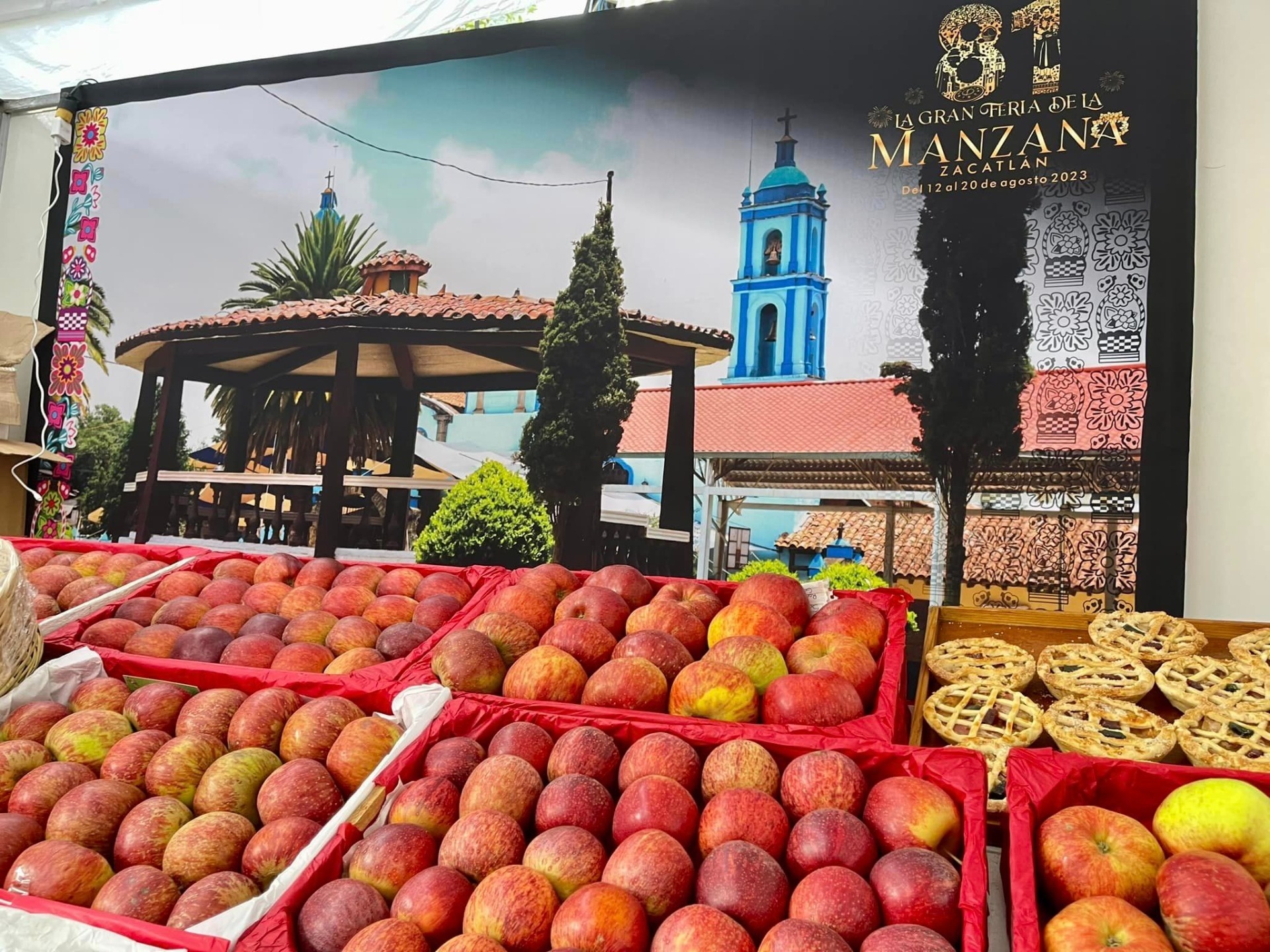 Imagen de Ruta de la Manzana- Visita a las Huertas de Manzana en Zacatlán