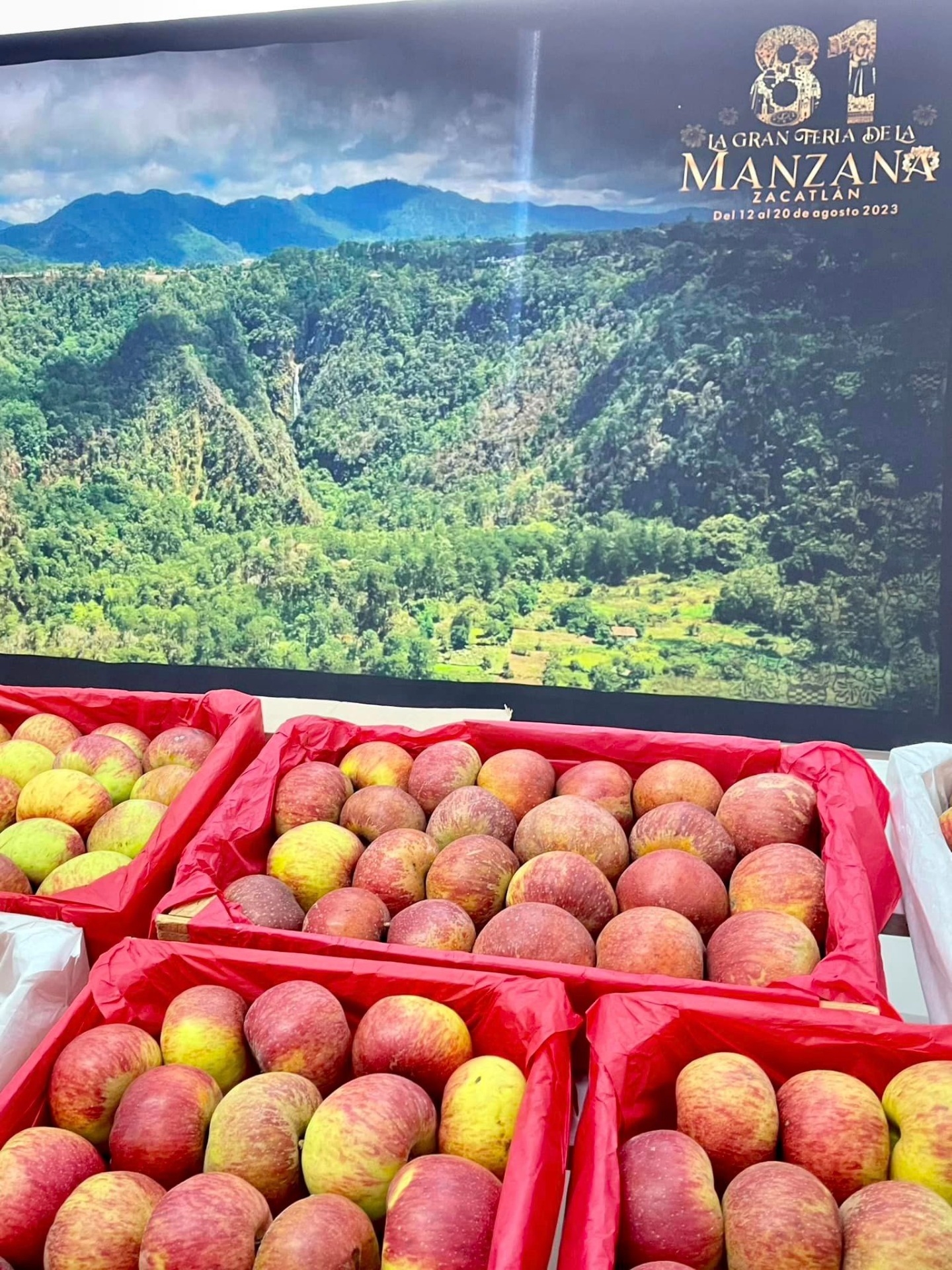 Imagen de Ruta de la Manzana- Visita a las Huertas de Manzana en Zacatlán