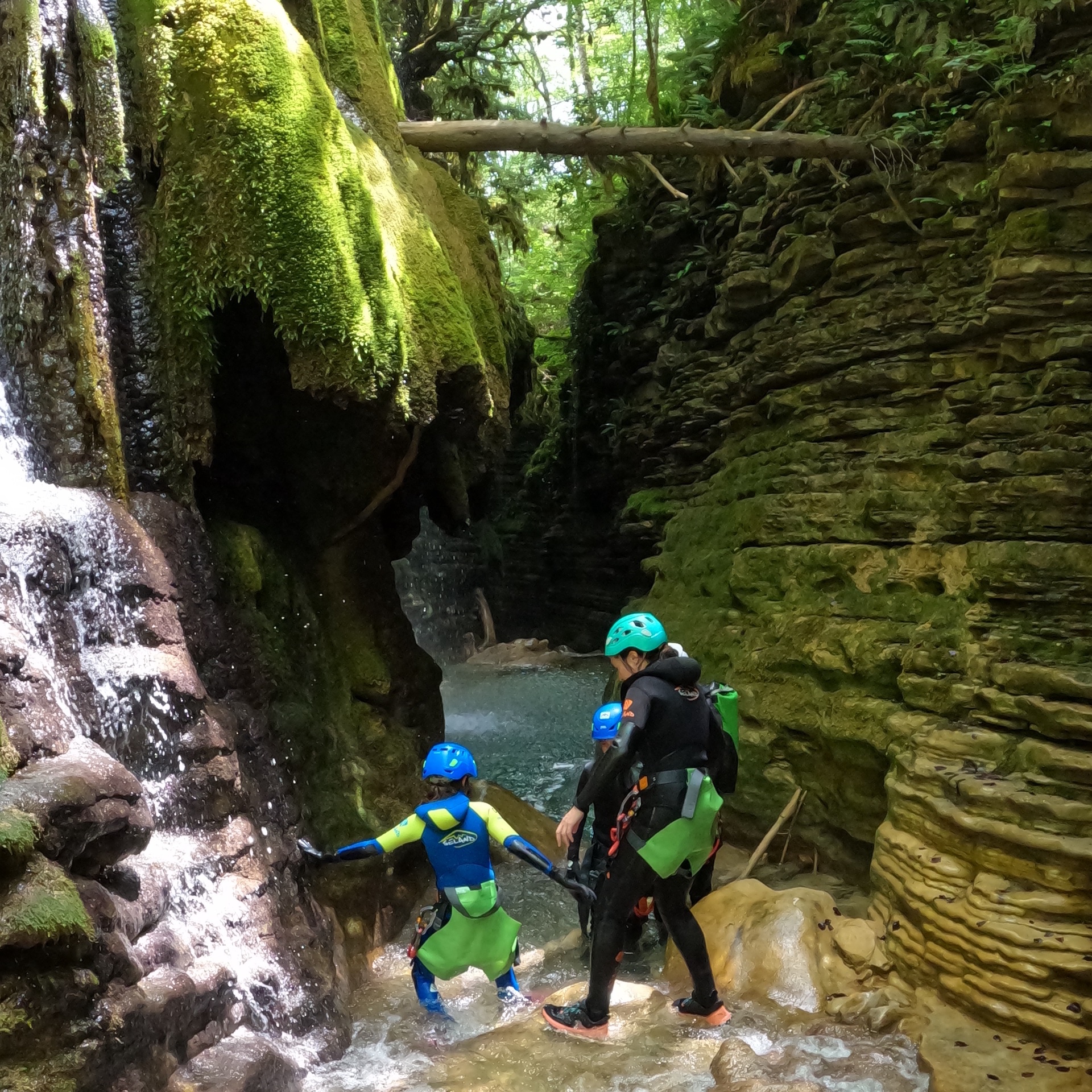 Imagen de  Barranco del Forcos en Bergua