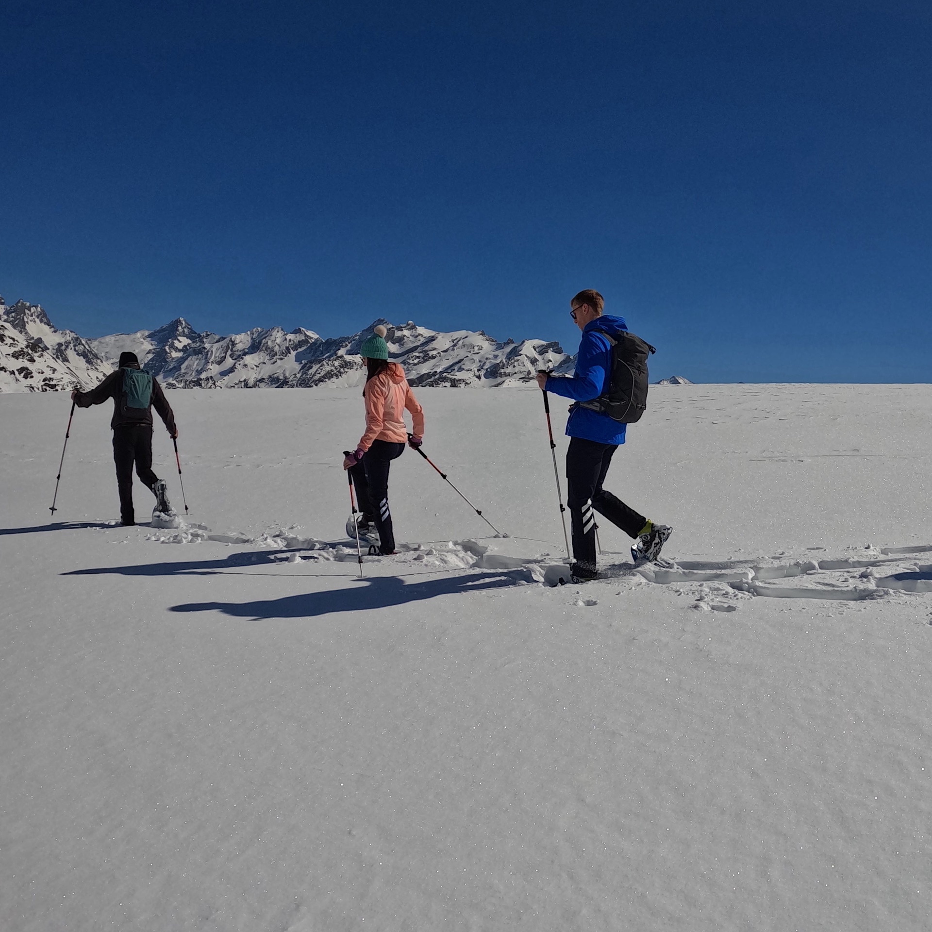 Imagen de Excursi&oacute;n Raquetas de Nieve