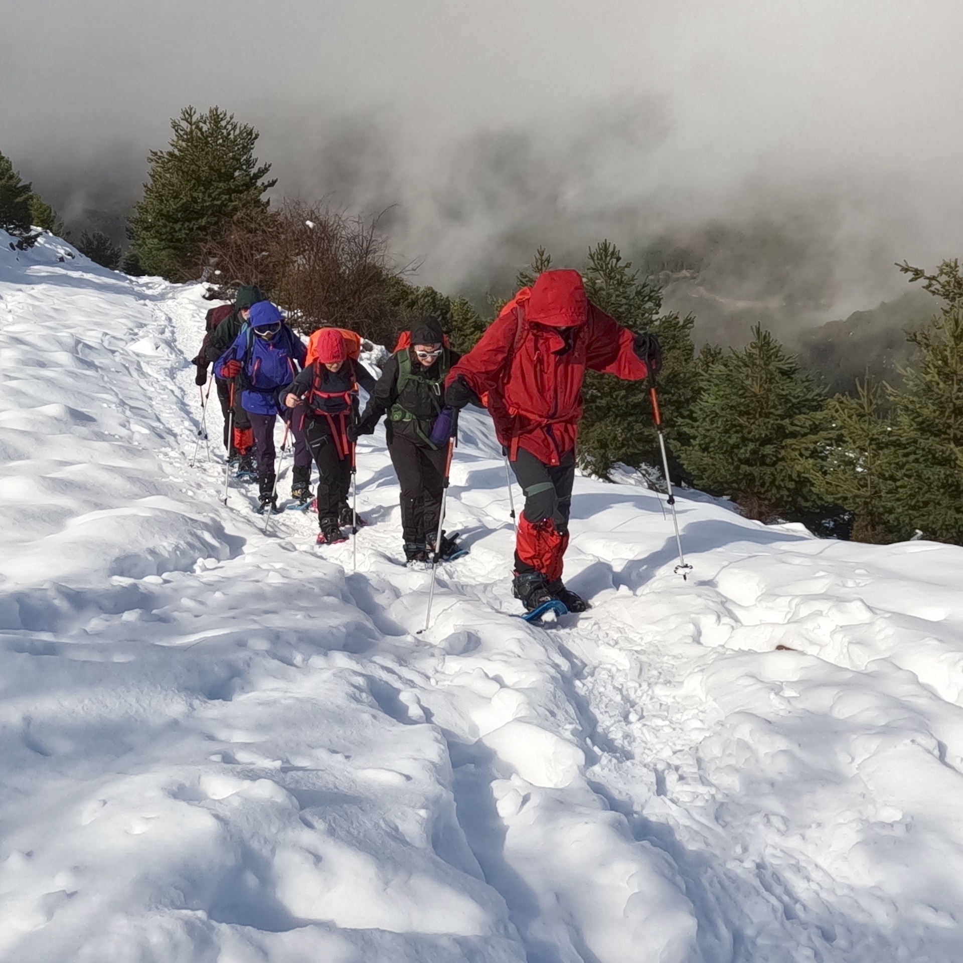 Imagen de Excursi&oacute;n Raquetas de Nieve
