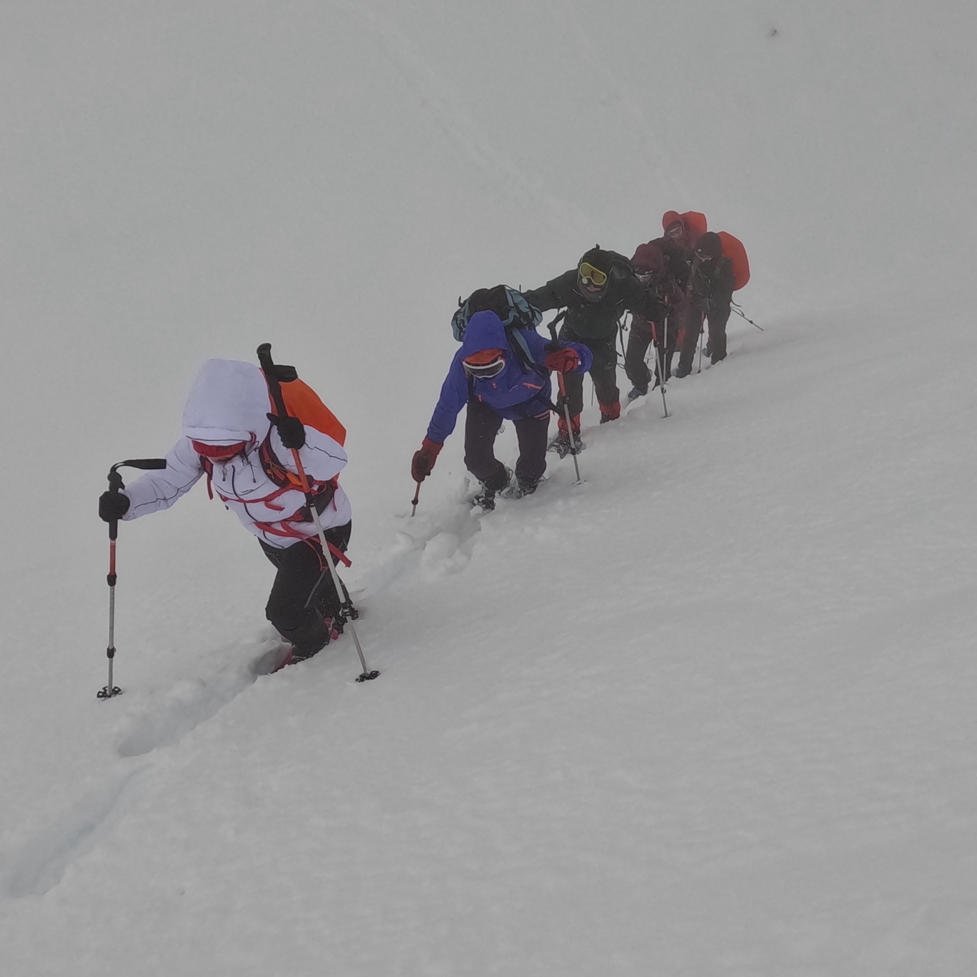 Imagen de Excursi&oacute;n Raquetas de Nieve
