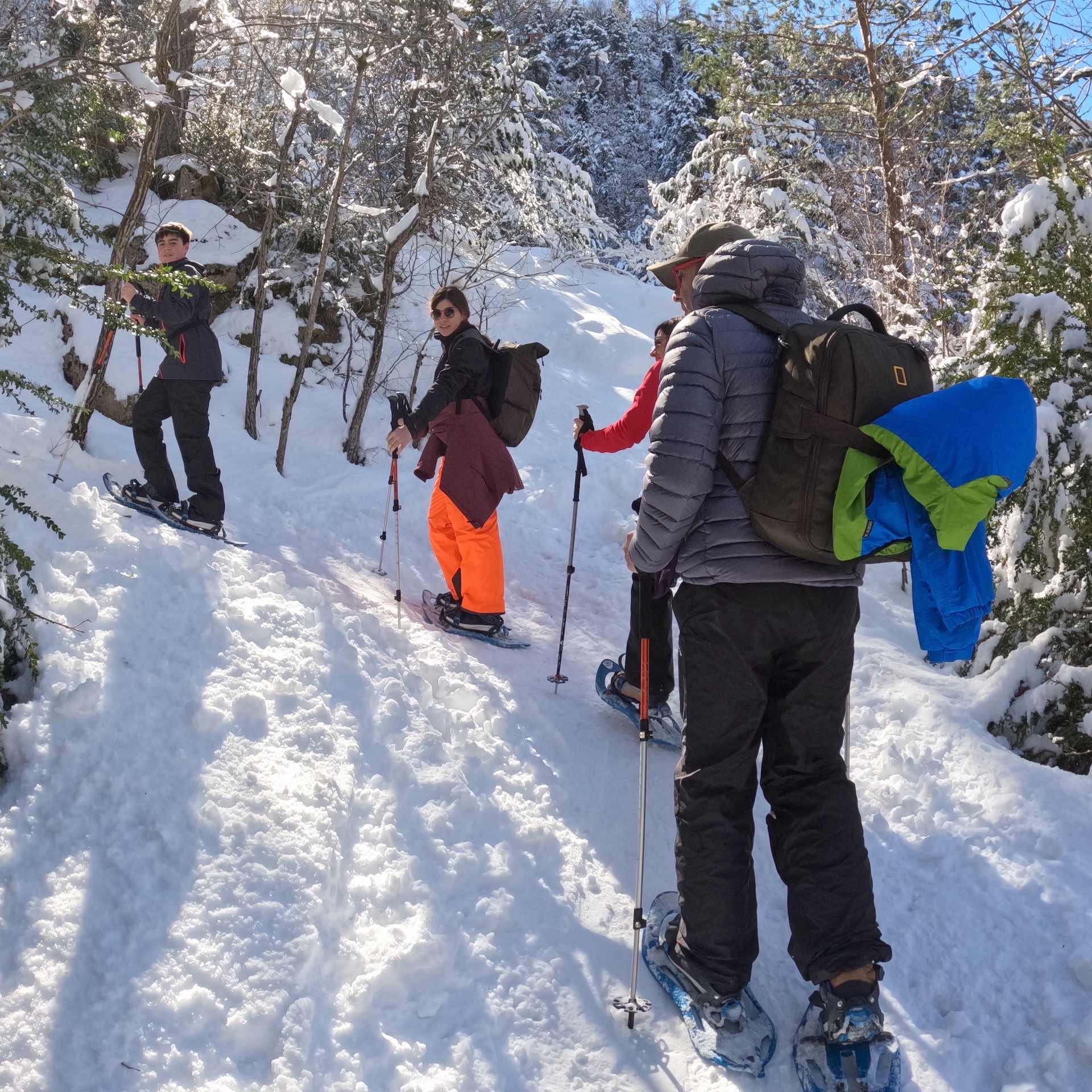 Imagen de Excursi&oacute;n Familiar Raquetas de Nieve