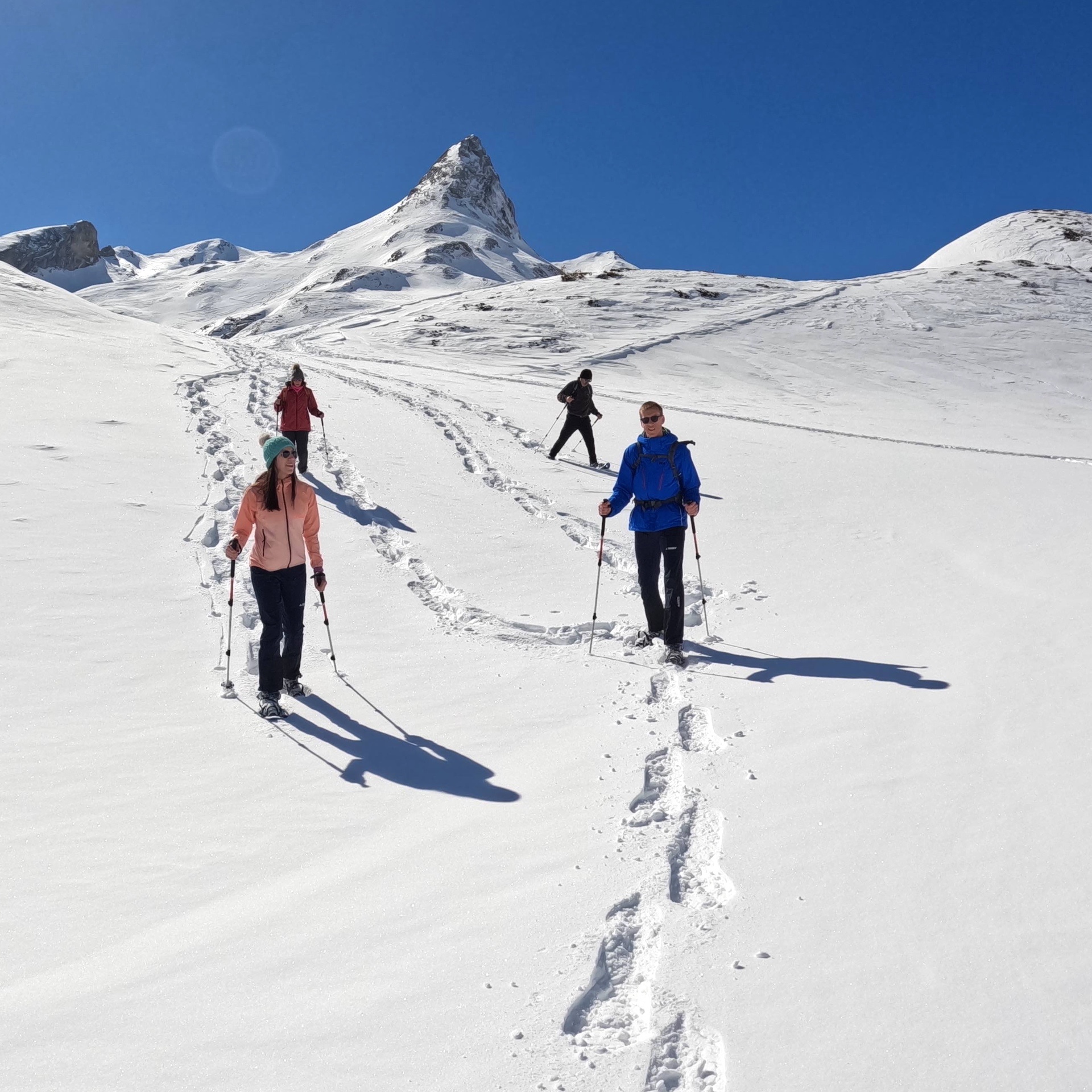 Imagen de Excursi&oacute;n Familiar Raquetas de Nieve