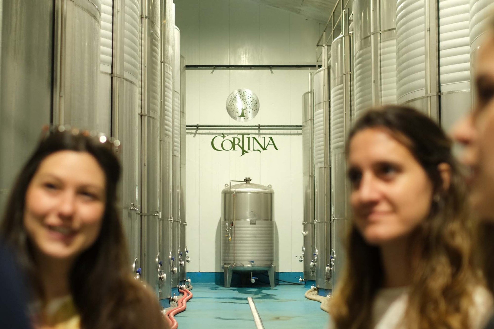 Imagen de Experiencia Sidrera Entre Toneles