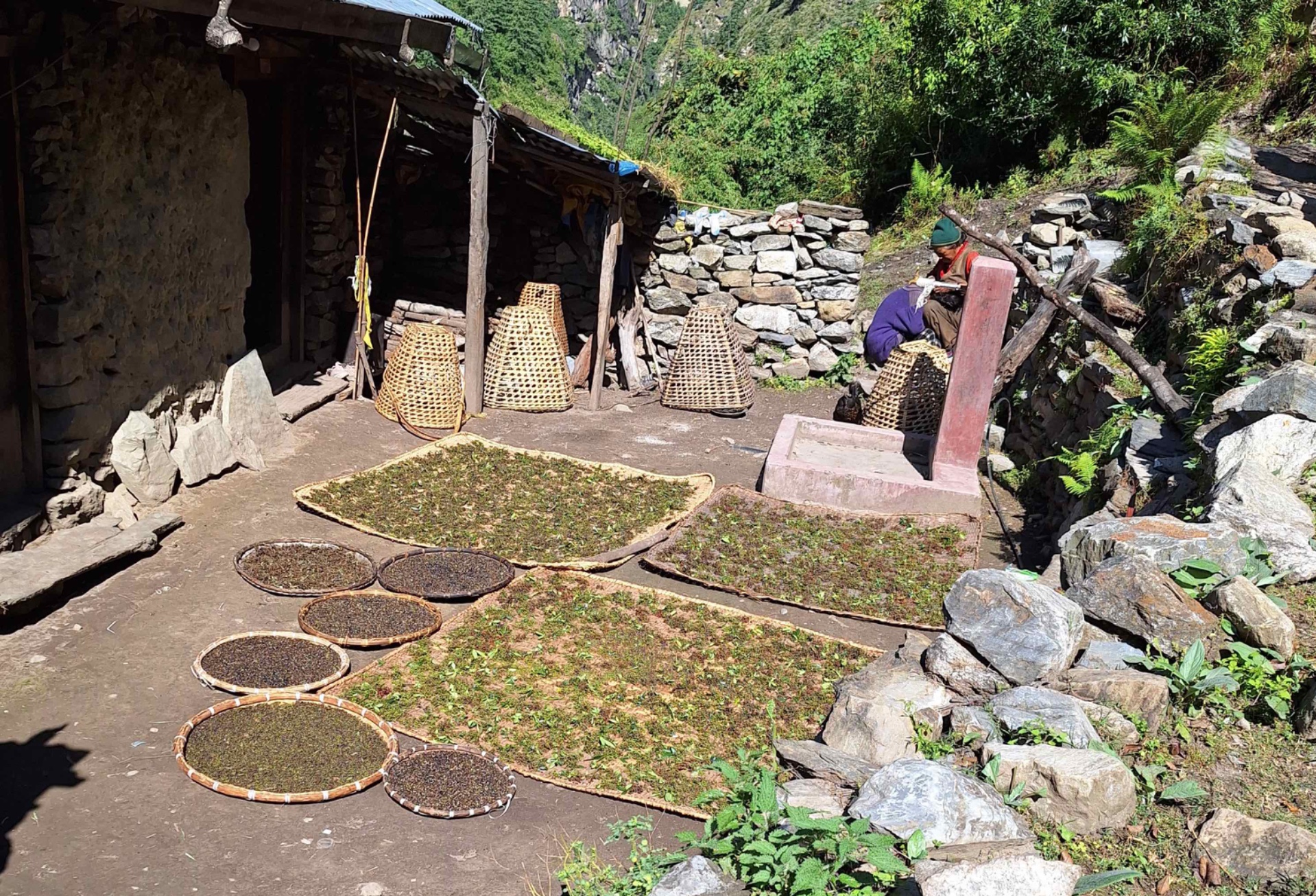 Imagen de Trekking del Manaslu Circuit en 14 d&iacute;as en Nepal
