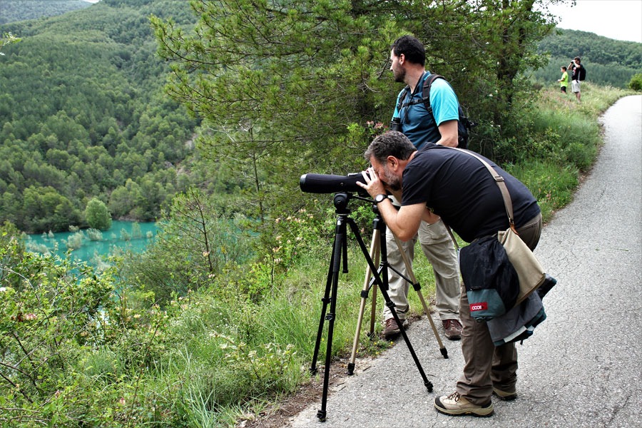 Imagen de Sendero ornitológico de Gerbe