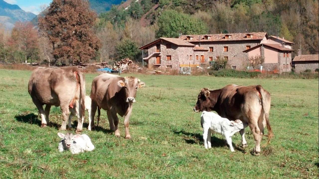 Imagen de Agroturismo en Huesca