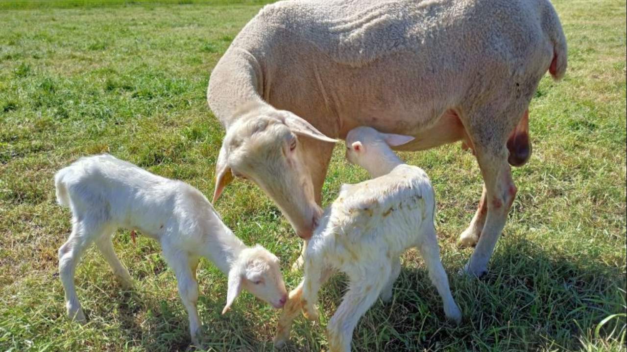 Imagen de Agroturismo en Huesca