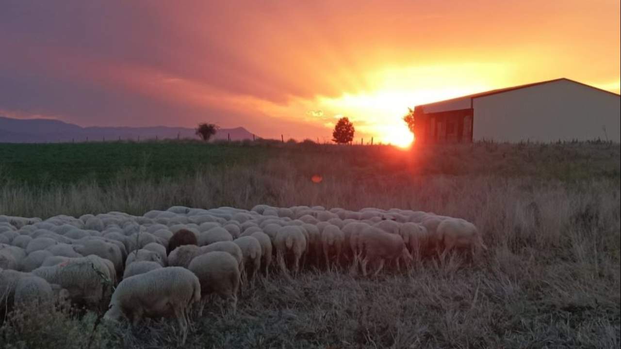 Imagen de Agroturismo en Huesca
