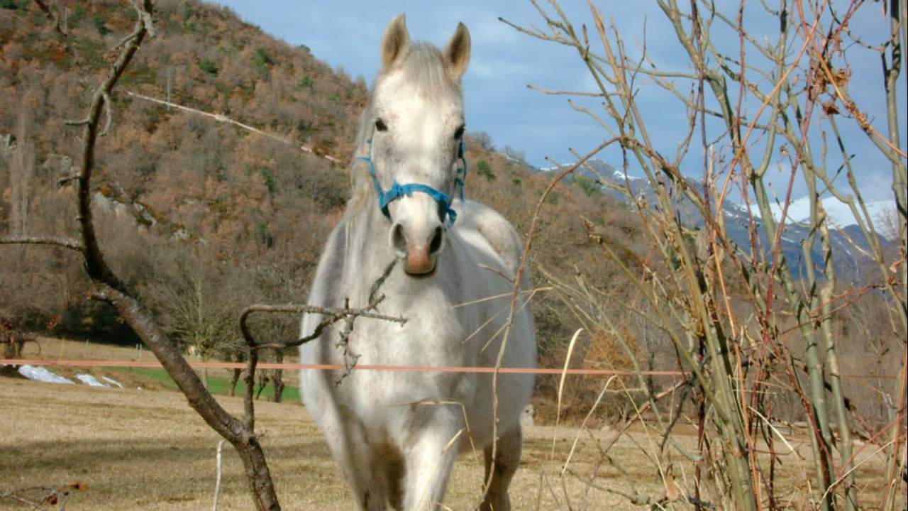 Imagen de Agroturismo en Huesca