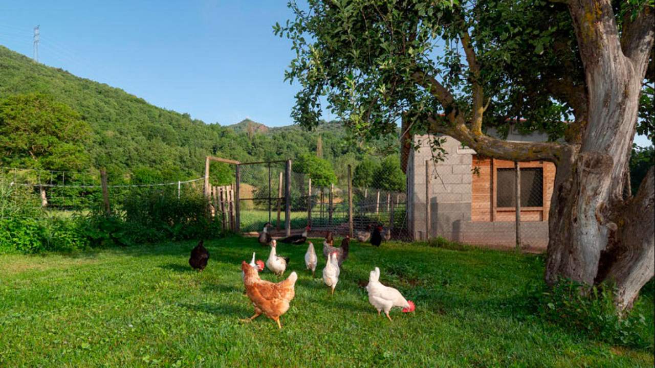 Imagen de Agroturismo en Huesca