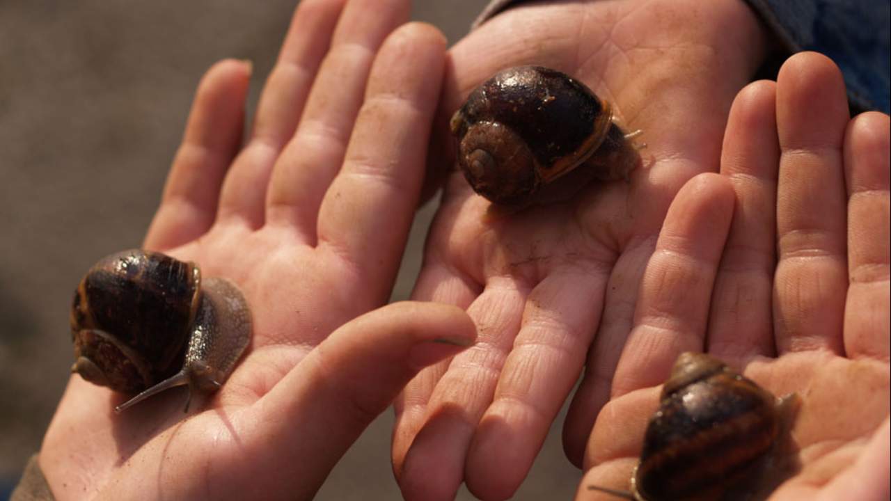 Imagen de Agroturismo en Huesca