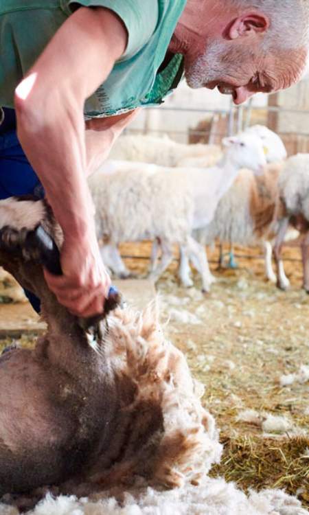 Imagen de Agroturismo en Huesca