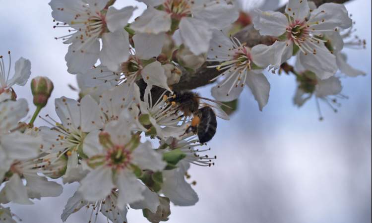 Imagen de Agroturismo en Huesca