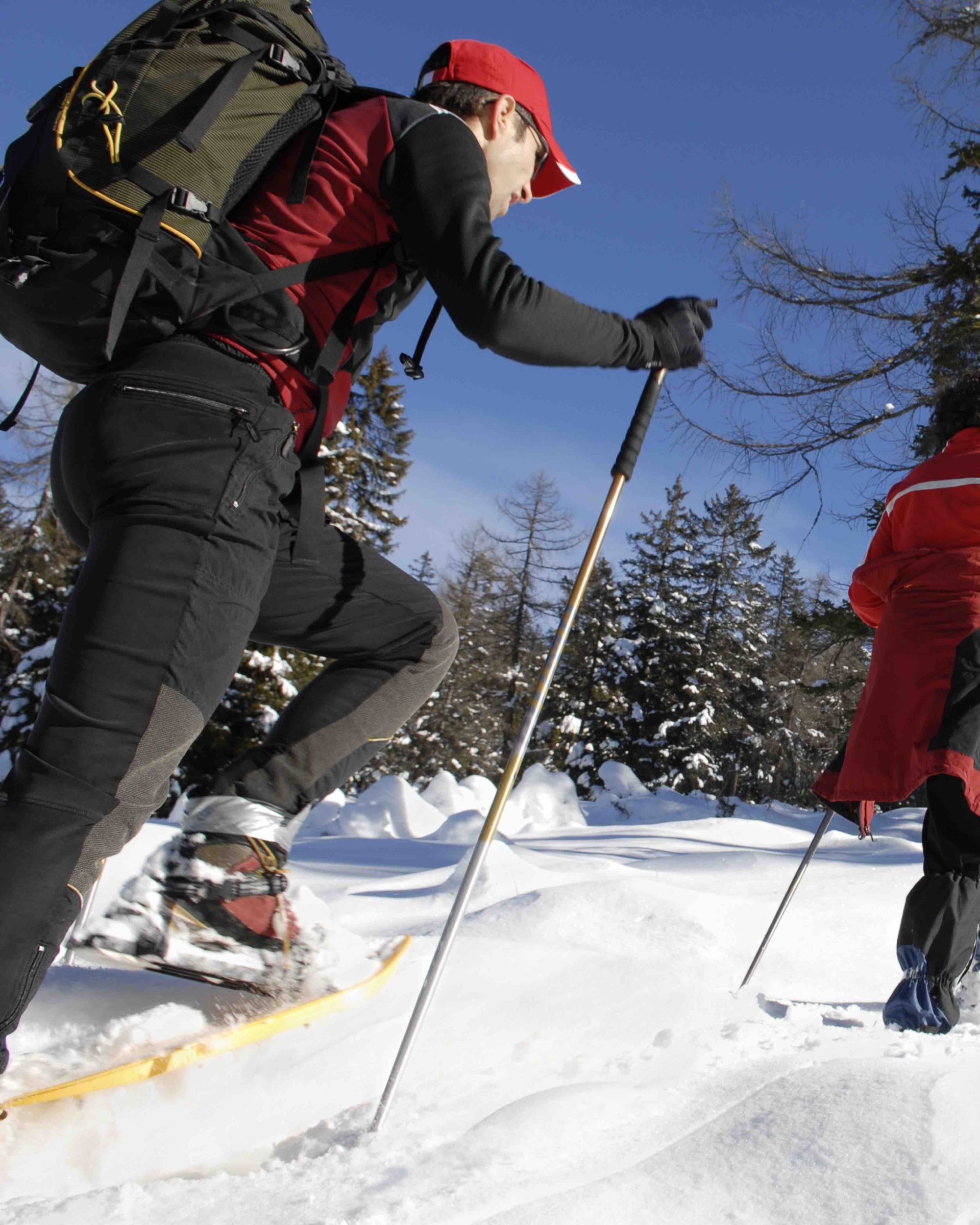 Imagen de Cumbres Invernales en Raquetas