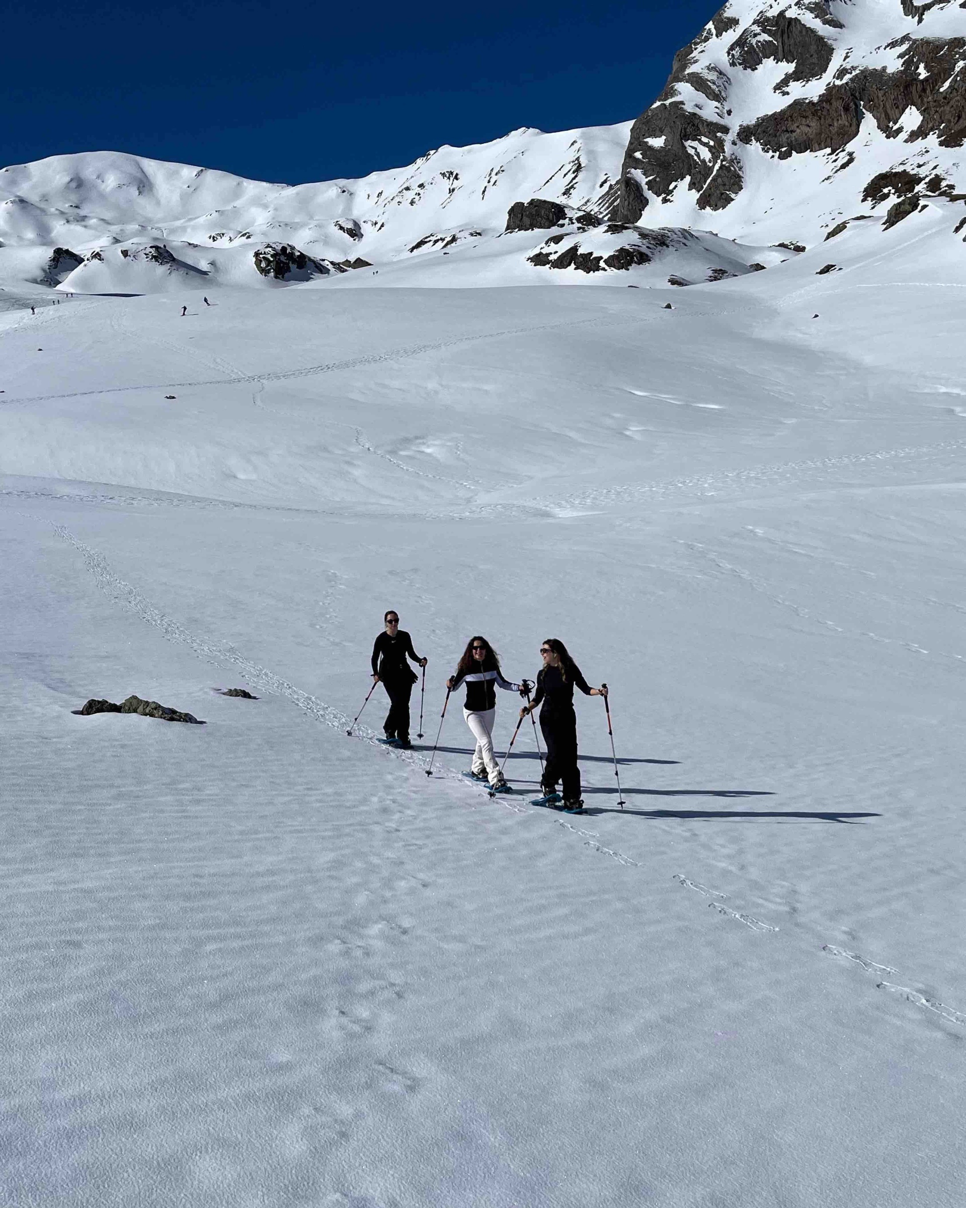 Imagen de Cumbres Invernales en Raquetas