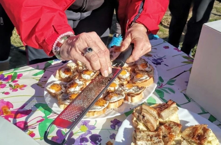 Imagen de Búsqueda de trufas con perro