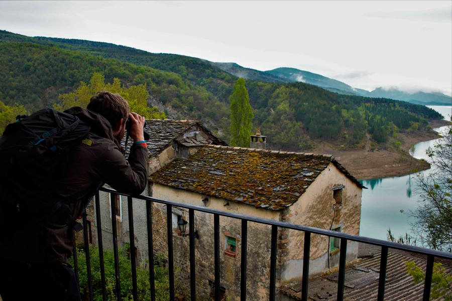 Imagen de Observar para comprender y respetar.