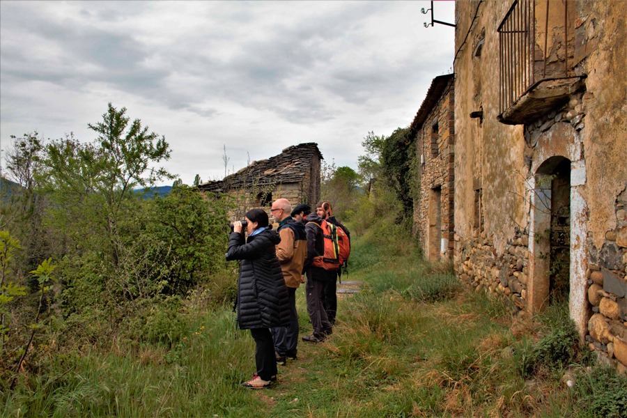 Imagen de Observar para comprender y respetar.