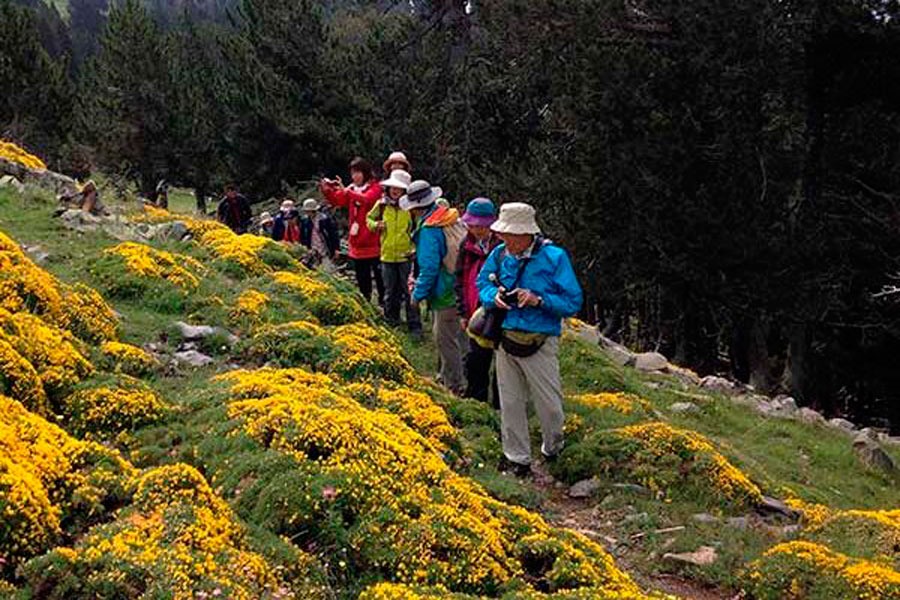 Imagen de Rutas Pirineos Wildlife