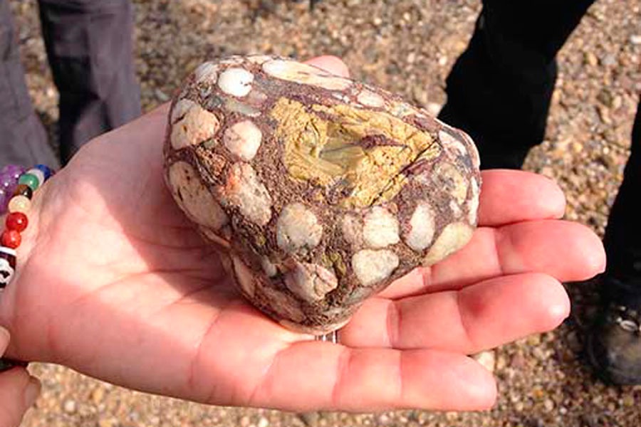 Imagen de Rutas Pirineos Wildlife