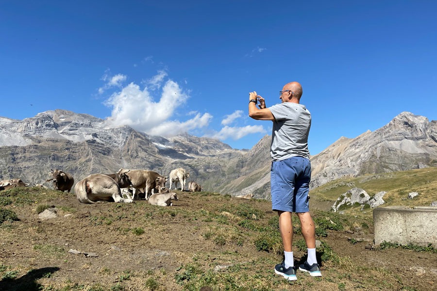 Imagen de Rutas Pirineos Wildlife
