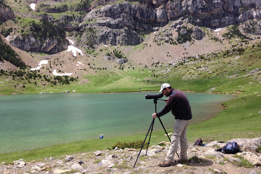 Imagen de Guías Naturaleza