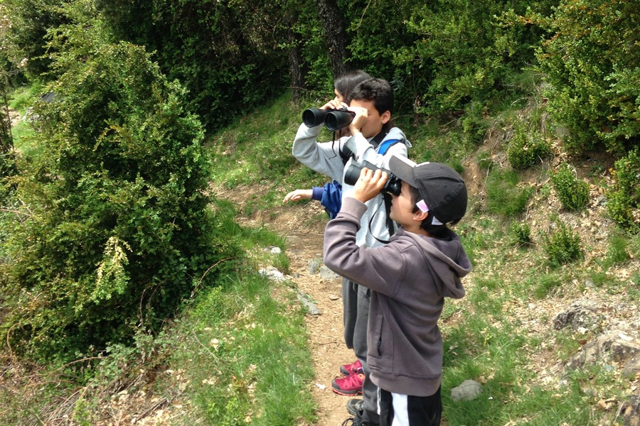 Imagen de Guías Naturaleza