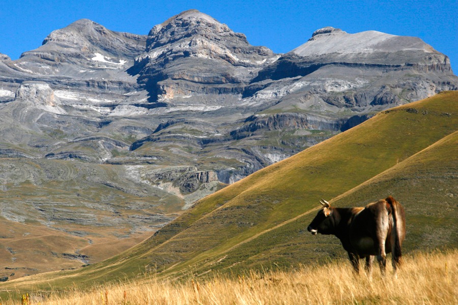 Imagen de Guías Naturaleza