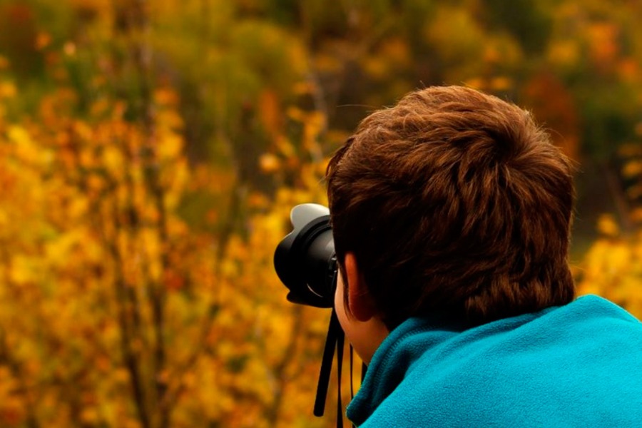 Imagen de Guías Naturaleza