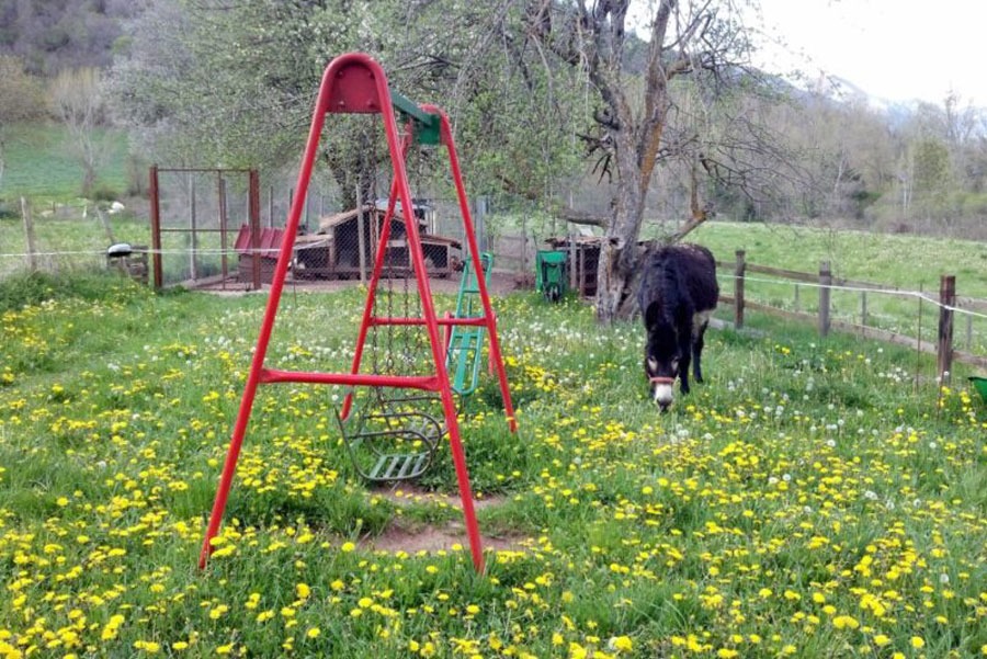 Imagen de Vive en la granja