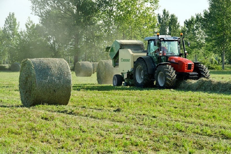 Imagen de Vive en la granja