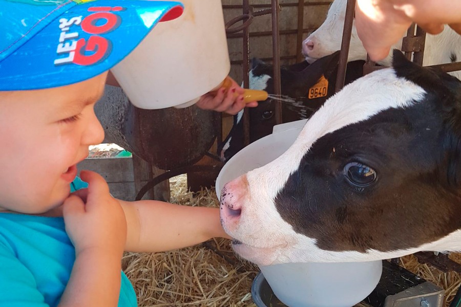 Imagen de Vive en la granja