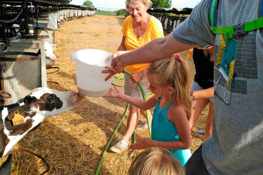 Imagen de Vive en la granja