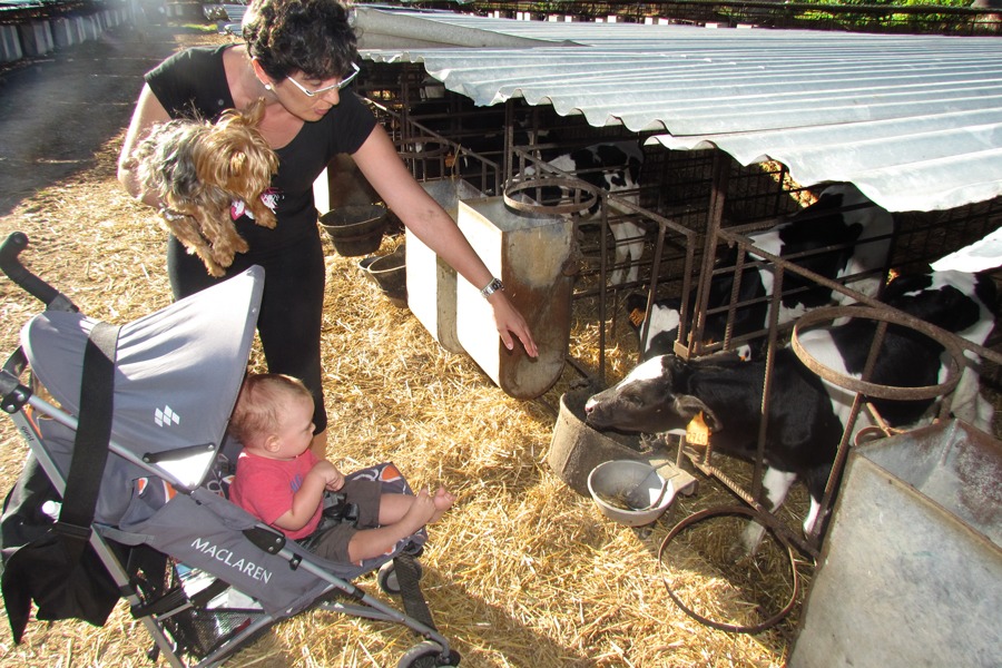 Imagen de Vive en la granja