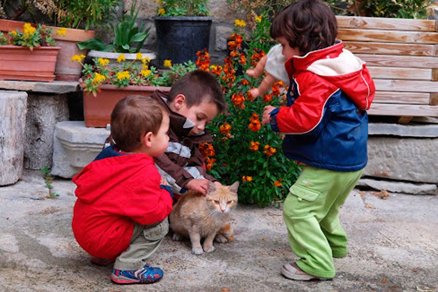 Imagen de Vive en la granja